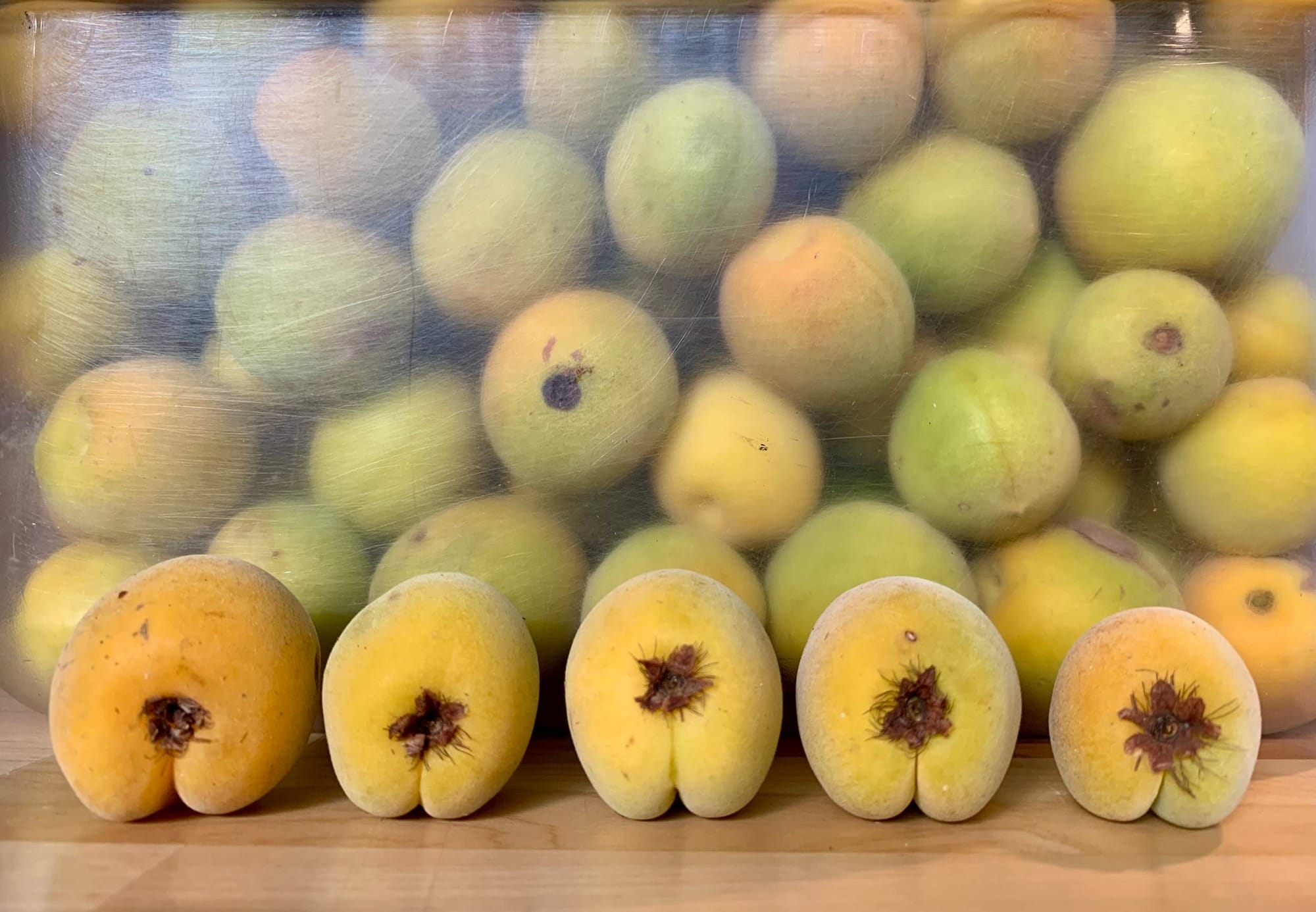 Five ume fruit lined up together on a wooden tabl